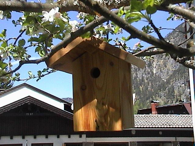 Haus Waldfriede Appartamento Pertisau